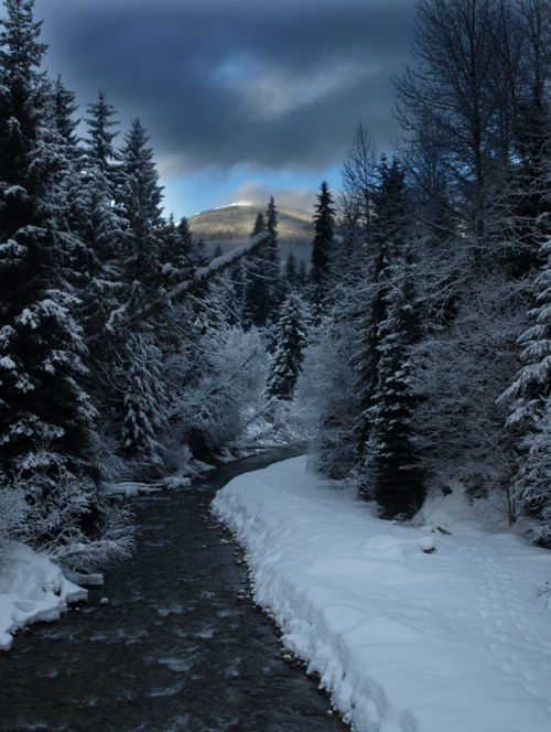 Winter walk